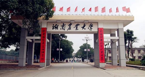 2020年湖南农业大学成人高等教育招生简章